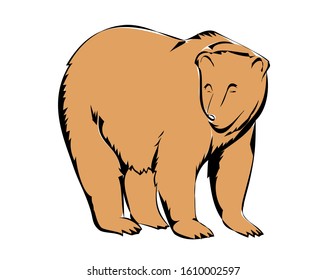  Vector - Smple   Illustration of  bear sketch, vector cartoon image. 
