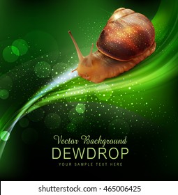 vector snail crawling on the green leaf