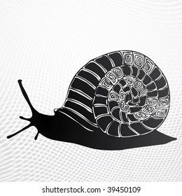 Vector snail (helix)