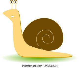 Vector snail illustration. 