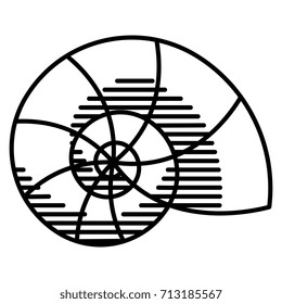 Vector Snail Shell Isolated On White Background