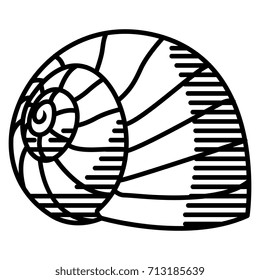 Vector Snail Shell Isolated On White Background