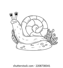 Vector snail sits on the grass. Cute vector character. Snail with plants.