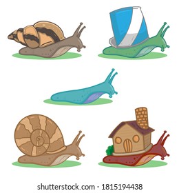 vector of a snail with various shells