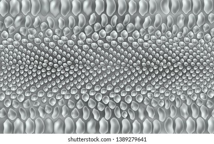 Vector snake, crocodile reptile skin texture background. Grey animal leather, alligator textured surface for fabric fashion design. Fabric natural material for decoration.