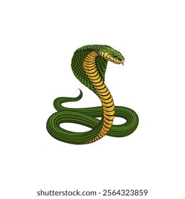 vector snake. green and yellow cobra with hood. realistic animal design. layered illustration. 