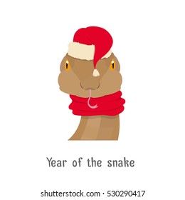 Vector snake head in new year, christmas red hat and scarf isolated . Chinese zodiac symbol isolated. Web ,poster, banner, advertising, design element. Flat Style, cartoon image
