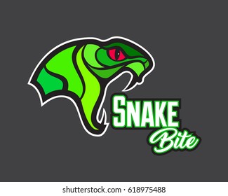 Vector snake head sports logo illustration. Mascot, T-shirt, sticker, label design.
