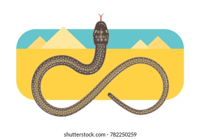 Vector snake illustration on desert background.