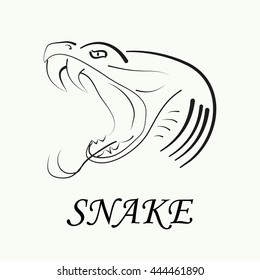 Vector of snake logo symbol or icon