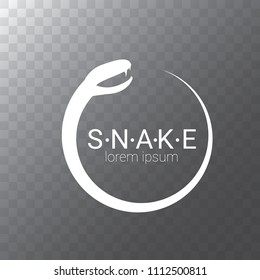 vector snake logo template. danger snake icon. viper white silhouette isolated on transparent background