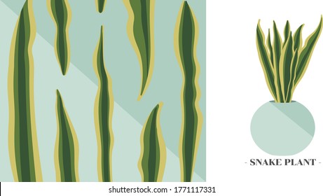 Vector of snake plant and close-up vector of snake plant leaf on mint green color background.