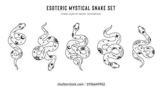 Vector snake set of mystical magic objects- moon, eyes, constellations, sun and stars. Spiritual occultism symbols, esoteric objects. 