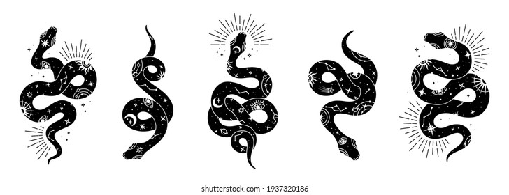Vector snake set of mystical magic objects- moon, eyes, constellations, sun and stars. Spiritual occultism symbols, esoteric objects. 