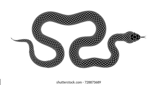 Vector Snake silhouette illustration. Black serpent tattoo design isolated on a white background.