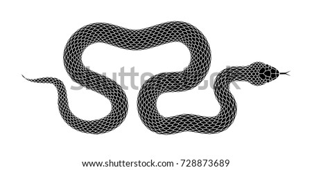 Vector Snake silhouette illustration. Black serpent tattoo design isolated on a white background.