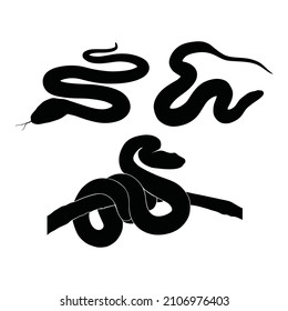 Vector Snake silhouette illustration template design