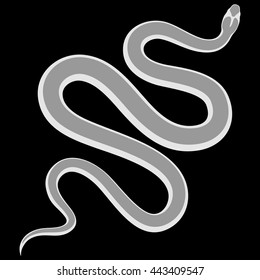 Vector snake silhouette isolated on black background