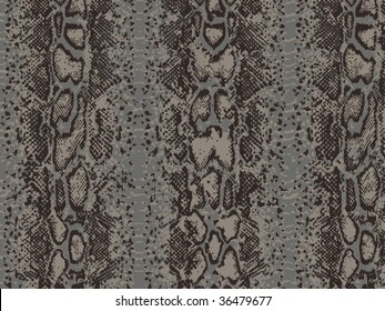 vector snake skin