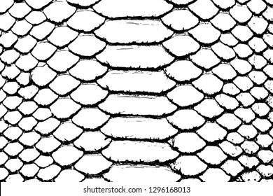 Vector Black White Snake Skin Background Stock Vector Royalty Free 1144982774