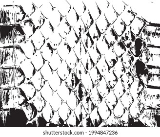 Vector snake skin background. Black and white texture