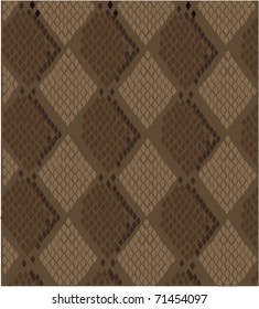 vector snake skin texture