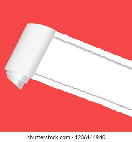 Vector snatched hole in sheet of red paper with soft shadow, paper curl and white background. Paper mockup illustration.