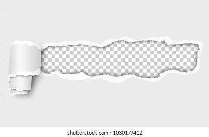Vector snatched window in piece of paper with torn edges and paper curl. Resulting window has transparent background and ready for any copy or ad. Template paper design.