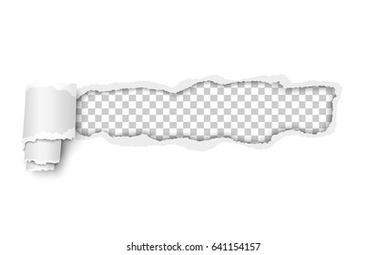 Vector snatched window in piece of white paper with torn edges and paper curl. Resulting window has transparent background and ready for any color and has space for text or ad. Template paper design.