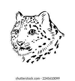leopardo de nieve vectorial, ilustración gráfica irbis wild cats