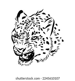 vector snow leopard, irbis wild cats graphic illustration