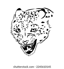 vector snow leopard, irbis wild cats graphic illustration