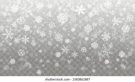 Vector snow on the transparent background. Christmas background with falling snowflakes. Vector effect.