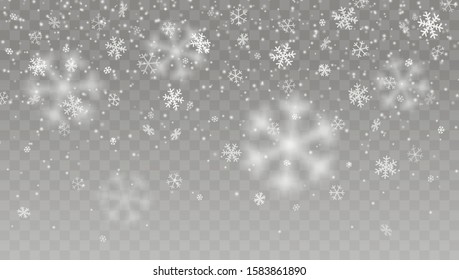 Vector snow on the transparent background. Christmas background with falling snowflakes. Vector effect.