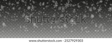 Vector snow png. Falling snowflakes on isolated transparent background. Snow storm, snowflakes, winter, snowfall png.