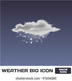 Vector Snow Rain Icon