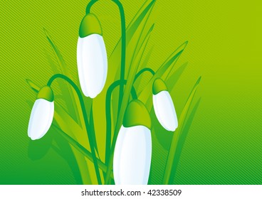Vector snowdrop flower