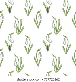 vector snowdrop flowers on white