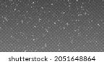 Vector snowfall isolated. Winter background. Snow overlay illustration. Snowflakes and ice.