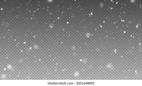 Vector snowfall isolated. Winter background. Snow overlay illustration. Snowflakes and ice.