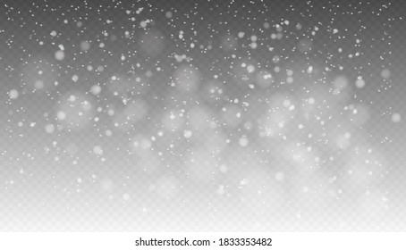 Vector snowfall, seamless realistic falling snow, snowflakes in different shapes and forms, winter weather, Christmas background. 