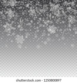 Vector snowfall, snowflakes of various shapes. Many white cold flaky elements on transparent background. White falling fly in the air.