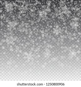 Vector snowfall, snowflakes of various shapes. Many white cold flaky elements on transparent background. White falling fly in the air.