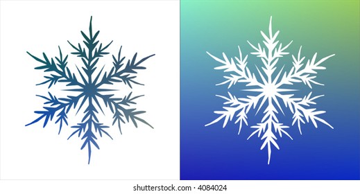 Vector snowflake