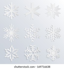 Vector snowflake icons on white backround