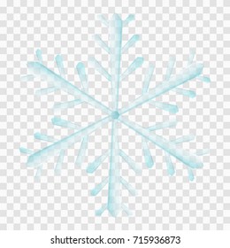 Vector snowflake isolated natural crystal