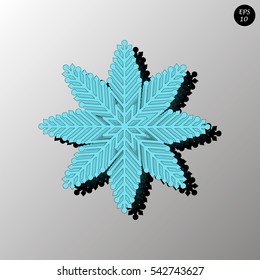 vector snowflakes. Fine winter ornament. Snowflakes collection