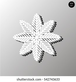 vector snowflakes. Fine winter ornament. Snowflakes collection