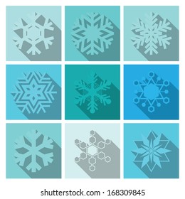 Vector Snowflakes Icons Set Design 