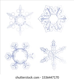 vector snowflakes on white background